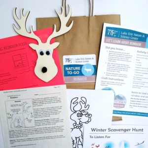 Reindeer kit photo