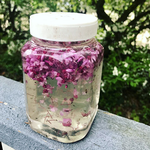 Nature Sensory Jar web