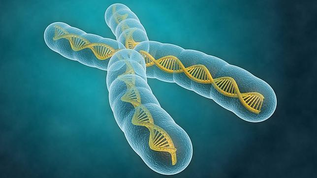 Depiction of DNA double helix structure