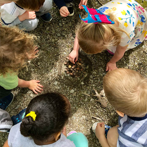 Nature Nuts studying forest floor