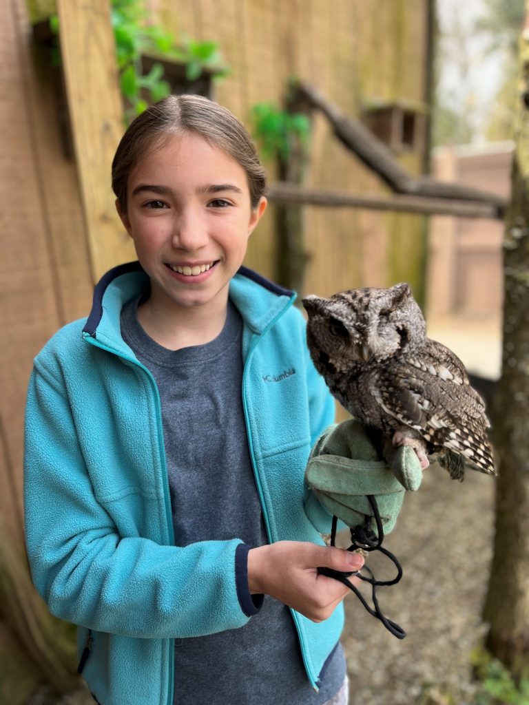 Child holding Eastern Screech Owl