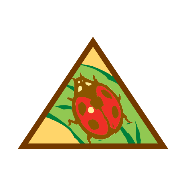 Bugs Badge