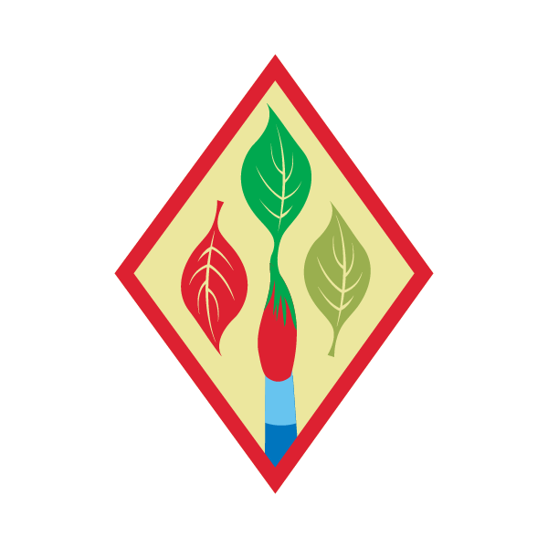 Outdoor Art Apprentice Badge