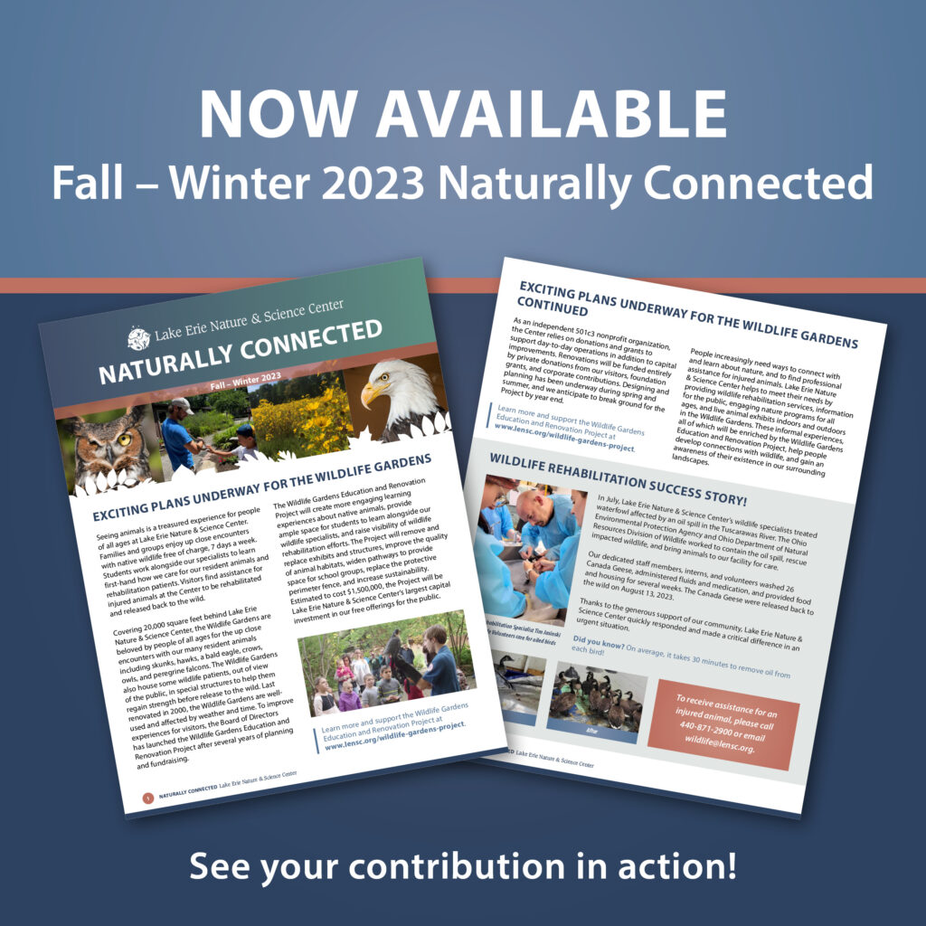 Naturally Connected Graphic Fall Winter 2023