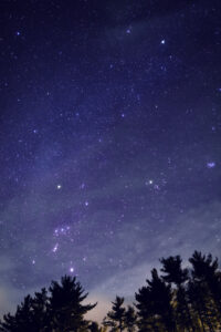 Night Sky with Orion