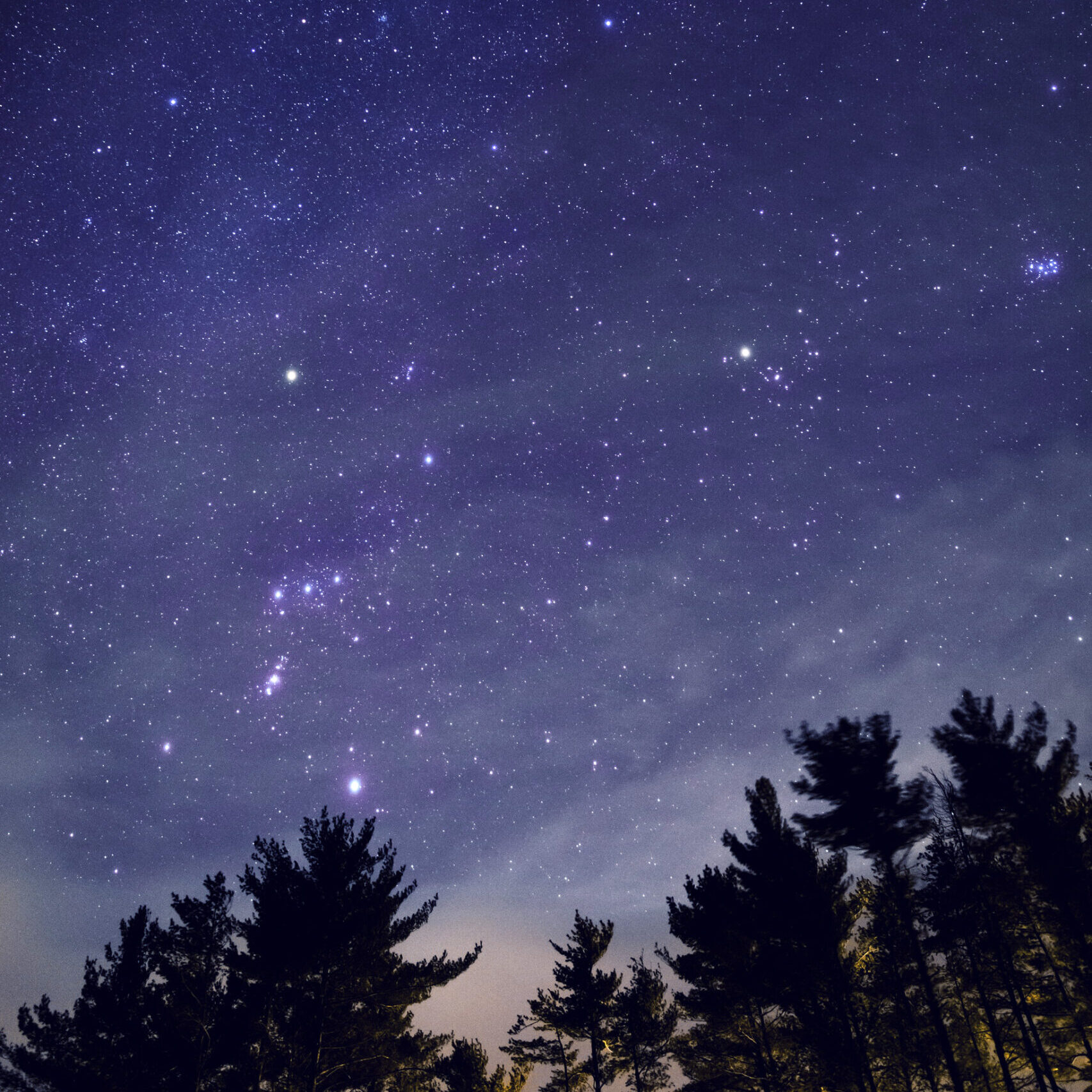 Night Sky with Orion