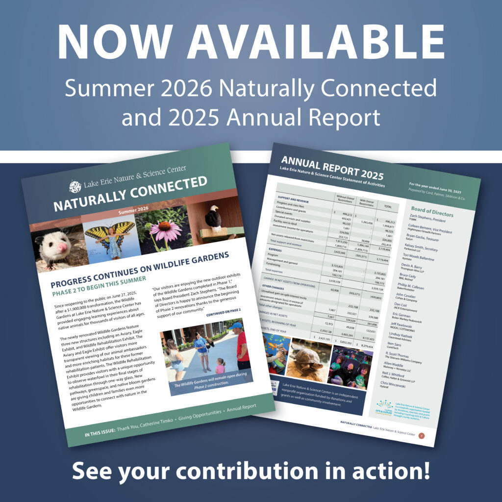 Naturally Connected Summer 2026 Graphic